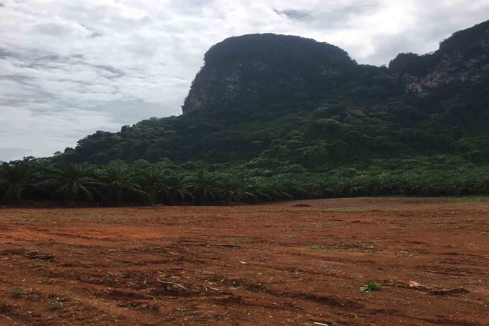Estate View