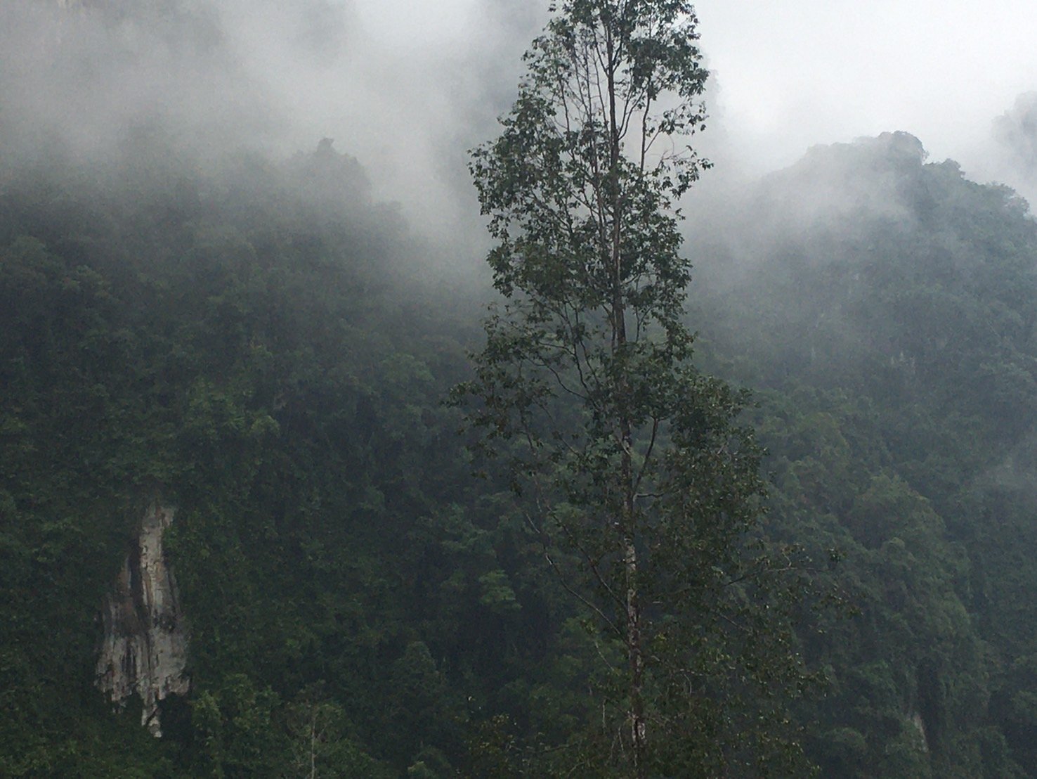 Rainy Day Valley