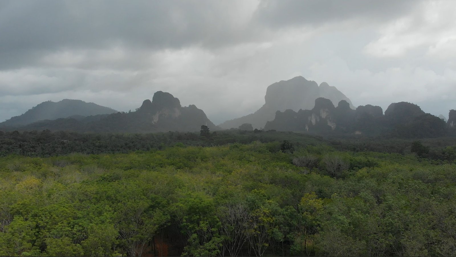 Rainy Day Valley